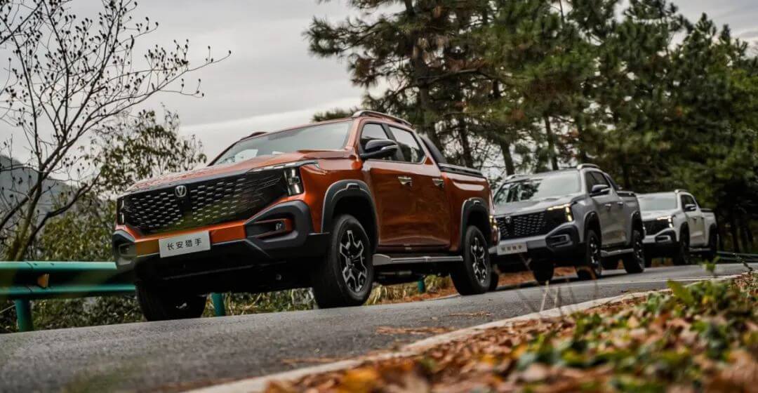 ��������(�й���)���޹�˾����